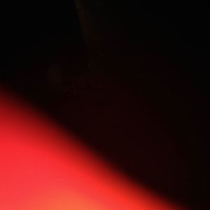 Meet your Posher, Carliece